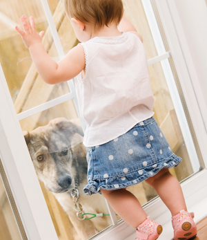 Actively supervise or securely separate dogs and children with screen doors